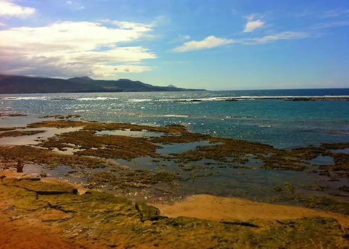 Miami Santa Catalina 아파트